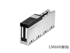 LM600系列无铁芯电机